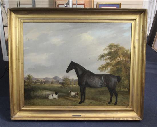 H.C. Smith (19th C.) Portrait of a black horse and two dogs in a landscape 26 x 33in.